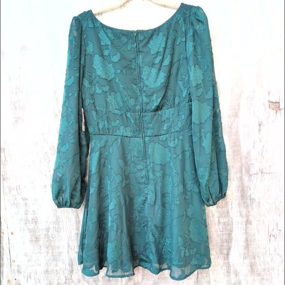 Crystal Doll NWT Babydoll Sheer Paisley Burnout Fit & Flare Dress Women's Large - Picture 6 of 9